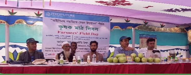 গলাচিপায় আইপিএম পদ্ধতিতে বেগুন উৎপাদন শীর্ষক কৃষক মাঠ দিবস।