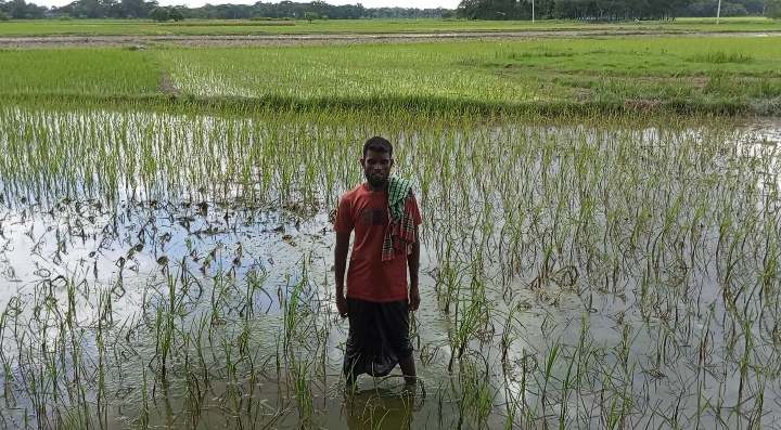 গলাচিপার পৈত্রিক সম্পত্তিতে জোর পূর্বক বীজ রোপণ চেষ্টার অভিযোগ।