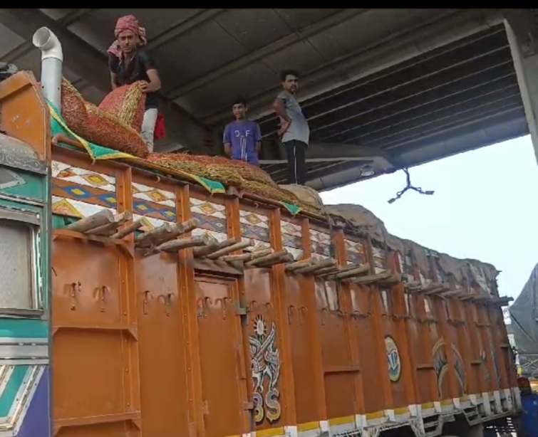 বেনাপোল দিয়ে ৯ দিনে ১৪২১ টন কাচাঁ মরিচ আমদানি।