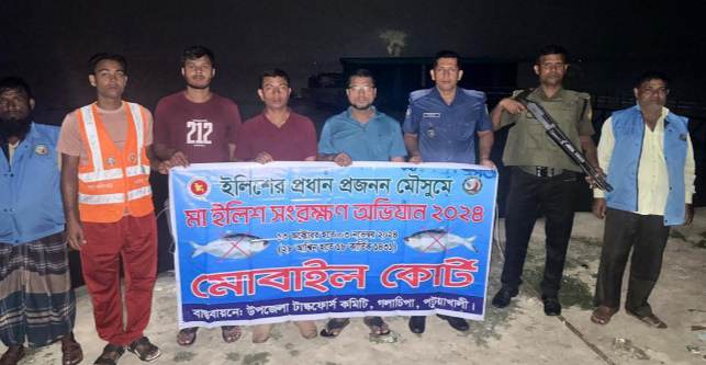 গলাচিপায় ব্যাপকভাবে চলছে মা ইলিশ সংরক্ষণ।