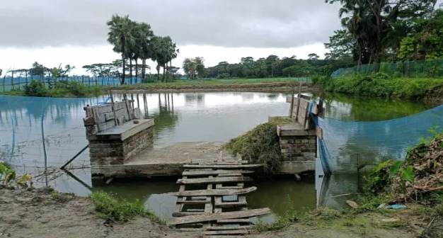 মসজিদের নামে বরাদ্দ টাকায় ব্যক্তিগত পুকুর খননের সংবাদ প্রকাশের পর তদন্ত কমিটি গঠন।
