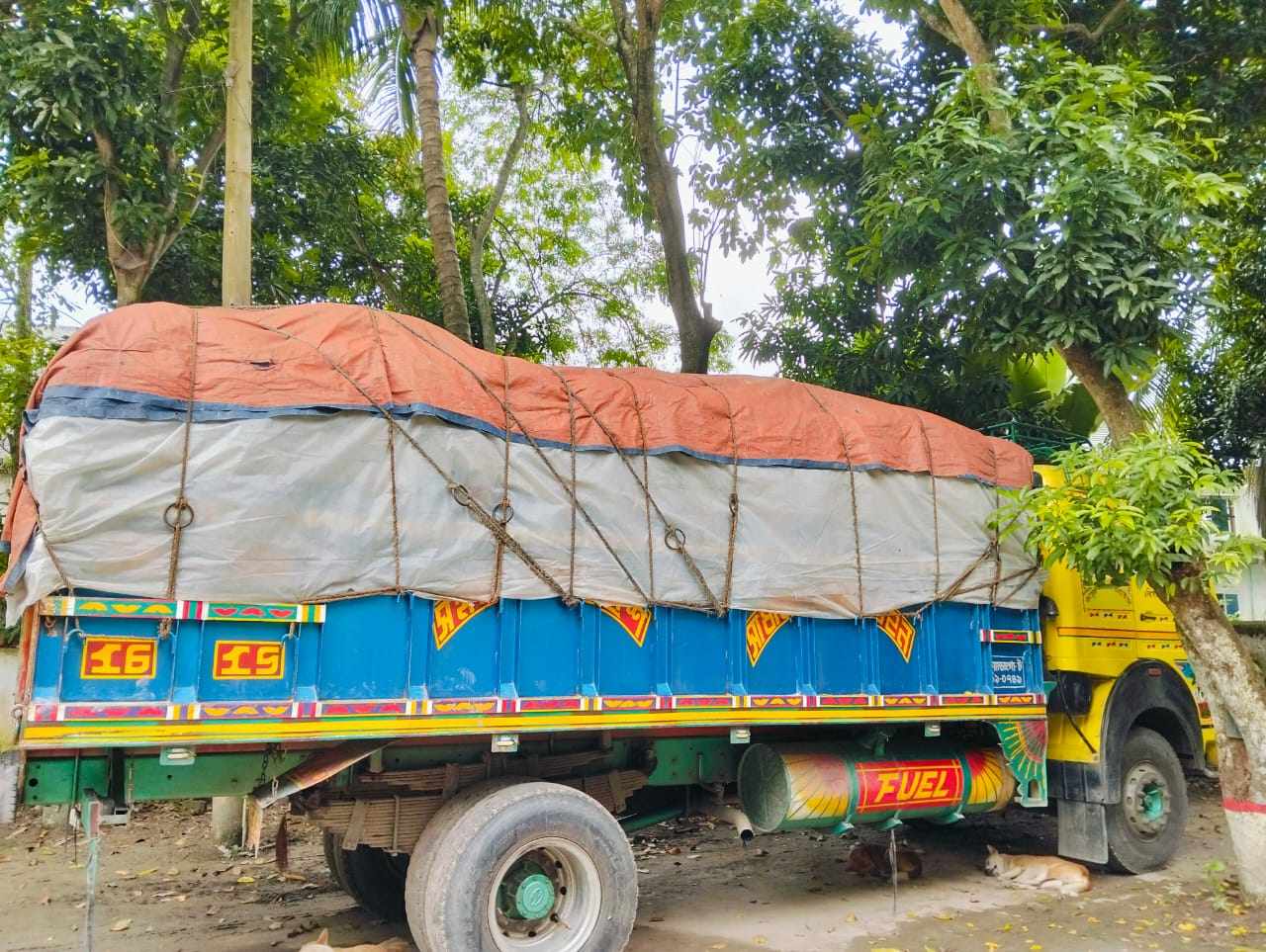 গোপালগঞ্জের মুকসুদপুরে কাগজপত্র বিহীন ট্রাকসহ সার উদ্ধার করেছে পুলিশ।