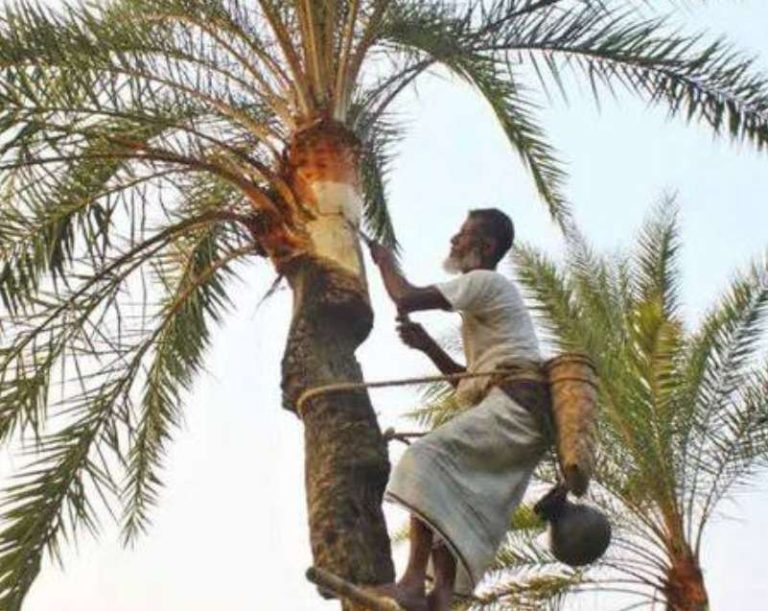 received 905798920897193 || Dailydeshsomoy