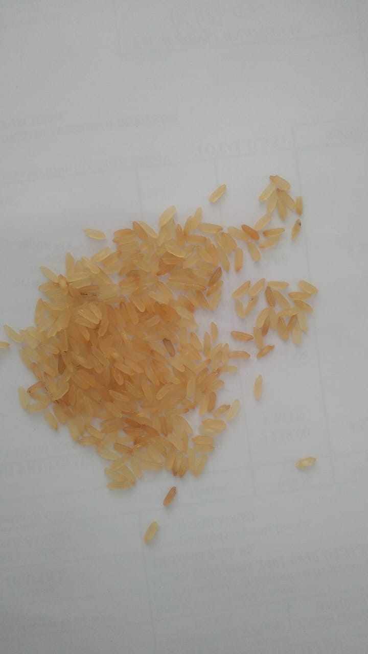 বেনাপোল বন্দর দিয়ে শুল্ক মুক্ত চাল আমদানি।