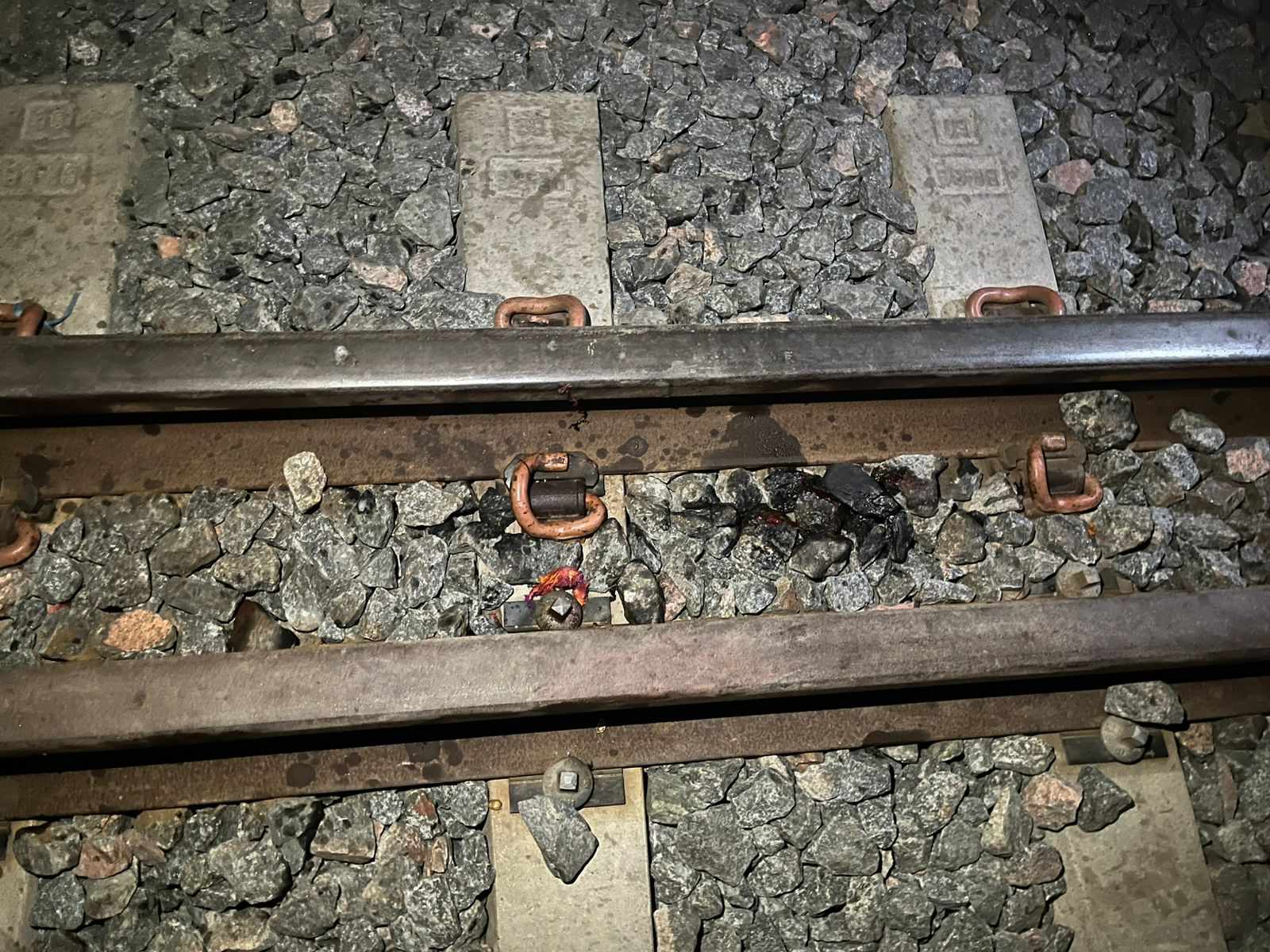 শিবচরে ট্রেনের ধাক্কায় কিশোরীর মৃত্যু, ১১ মাসের শিশুর অঙ্গহানী