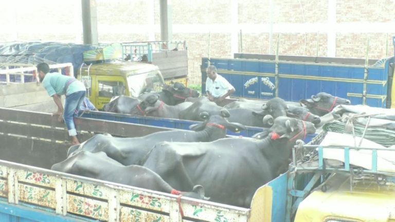 Messenger creation 93C164F1 DDC8 4CA8 8A04 4A539E48F88C || Dailydeshsomoy