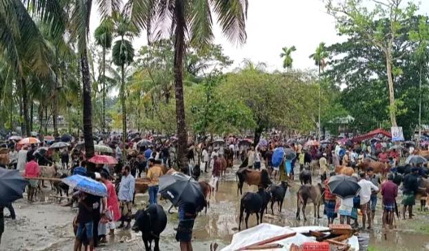 গলাচিপায় শেষ মুহূর্তে জমজমাট কোরবানির হাট, বৃষ্টিতে বেচাকেনা কম।