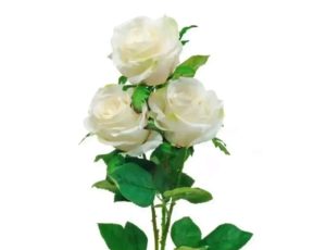 Screenshot 20250823 001221 || Dailydeshsomoy