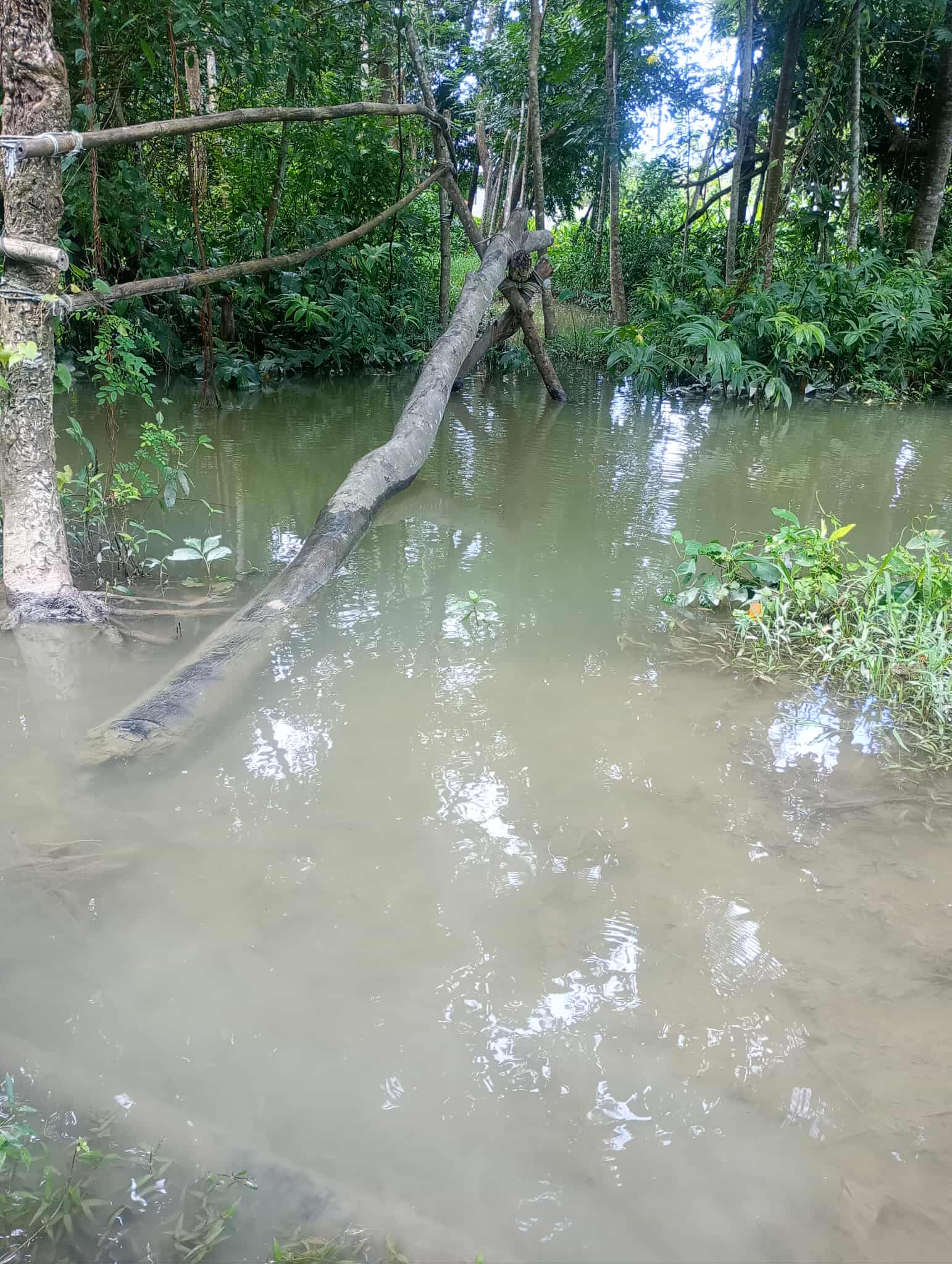 অযত্ন-অবহেলার অস্তিত্ব সংকটে নলছিটির সম্ভাবনাময় হাড়িখালি গ্রাম