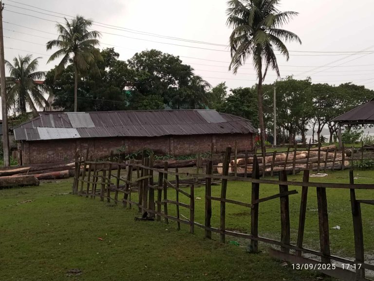 received 1121866219396669 || Dailydeshsomoy