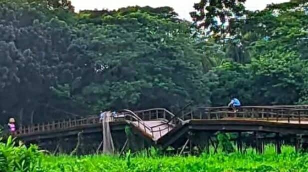 গলাচিপায় দুই ইউনিয়নের সংযোগ সেতুর বেহাল দশা, দুর্ভোগে হাজারো বাসিন্দা,