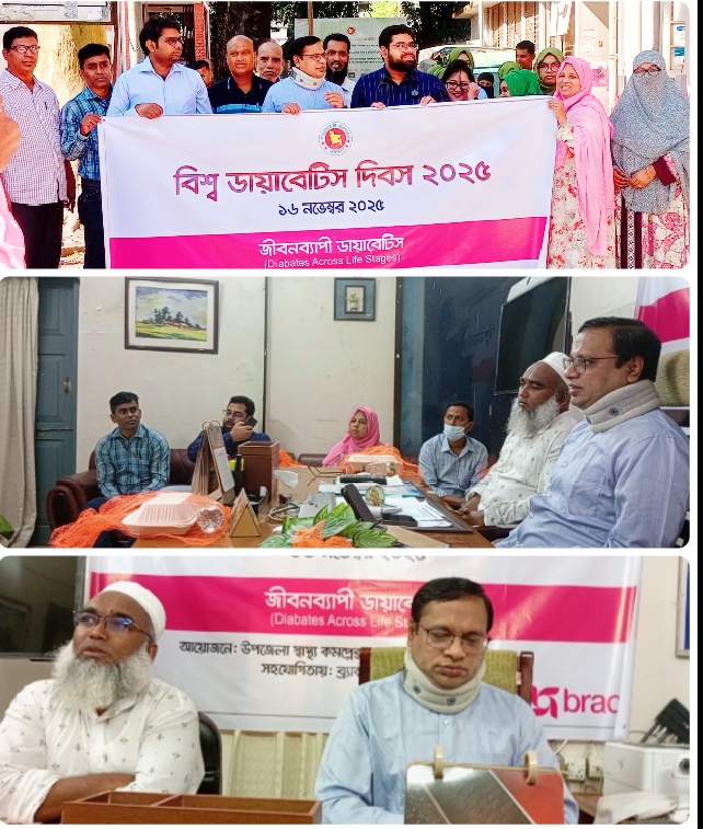 গফরগাঁওয়ে নানা কর্মসূচির মধ্য দিয়ে পালিত হয়েছে বিশ্ব ডায়াবেটিস দিবস-২০২৫।