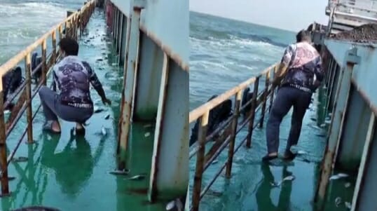 মণকে মণ ইলিশ লাফিয়ে উঠলো পায়রা বন্দরে আসা লাইটার জাহাজে,