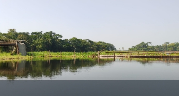 গলাচিপার দুই ইউনিয়নের সংযোগ সেতু এখন প্রাণের দাবি