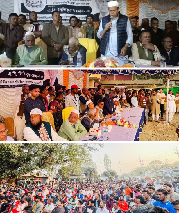 গফরগাঁওয়ের পাইথলে স্বতন্ত্র প্রার্থী এবি সিদ্দিকুর রহমানের ‘হাঁস’ প্রতীকের বিশাল জনসভা