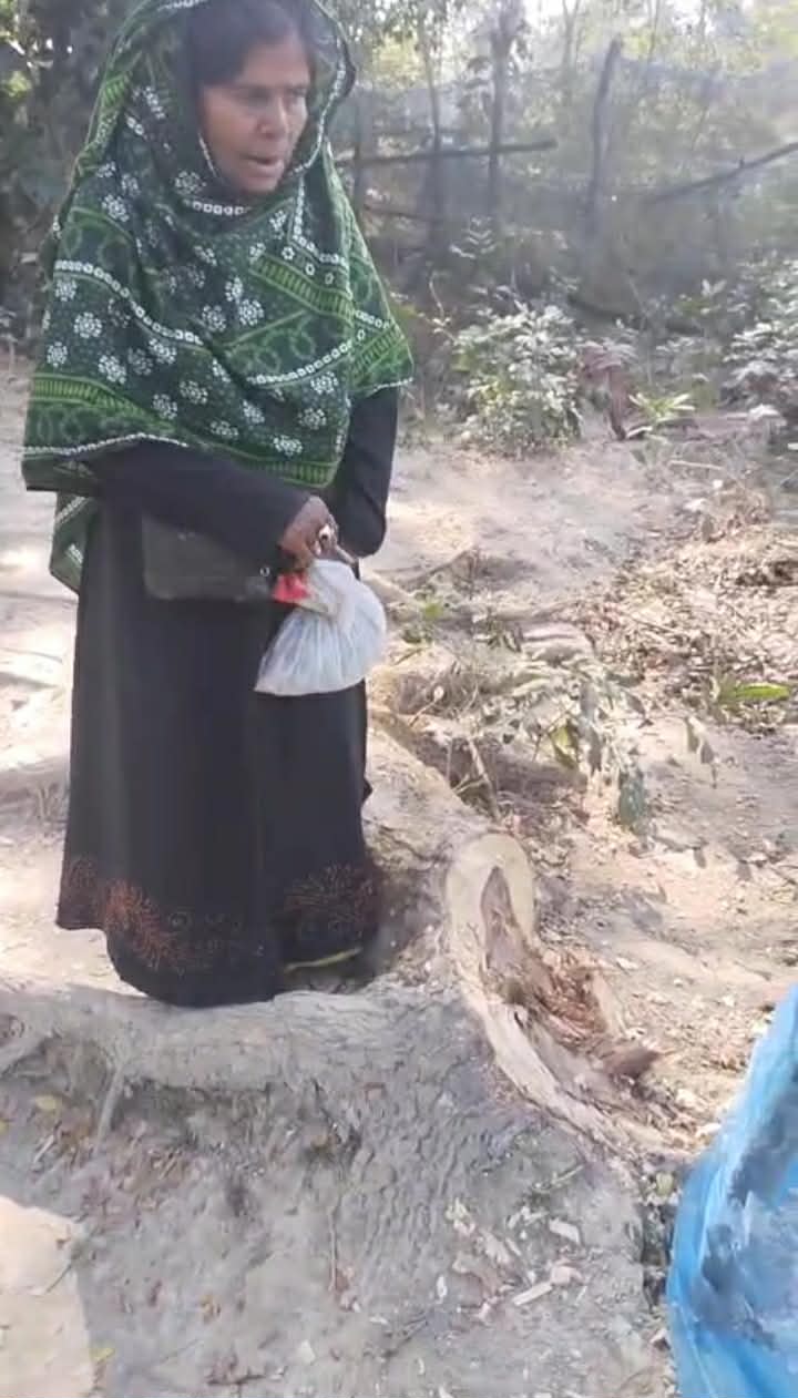 গলাচিপায় জোর পূর্বক গাছ কেটে নেওয়ায় বিচারের আশায় মানুষের দারে দারে বৃদ্ধা।