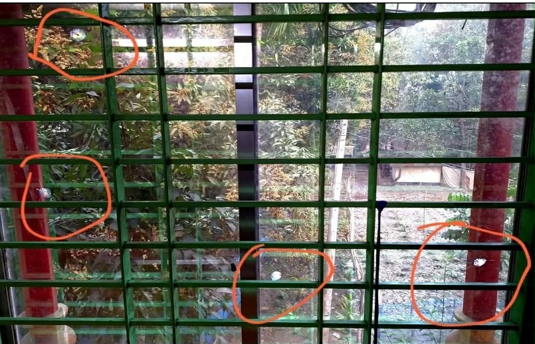 কোটালিপাড়ায় ব্যবসায়ীর বাড়িতে গুলিবর্ষণ, এলাকাজুড়ে আতঙ্ক। 5 post image