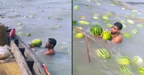 তরমুজবোঝাই ট্রলার ডুবে ভেসে গেল কৃষকের স্বপ্ন,