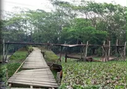 গলাচিপায় মরণফাঁদে পরিণত হয়েছে চর বিশ্বাস-কপালবেড়া সেতু: জনদুর্ভোগ চরমে।