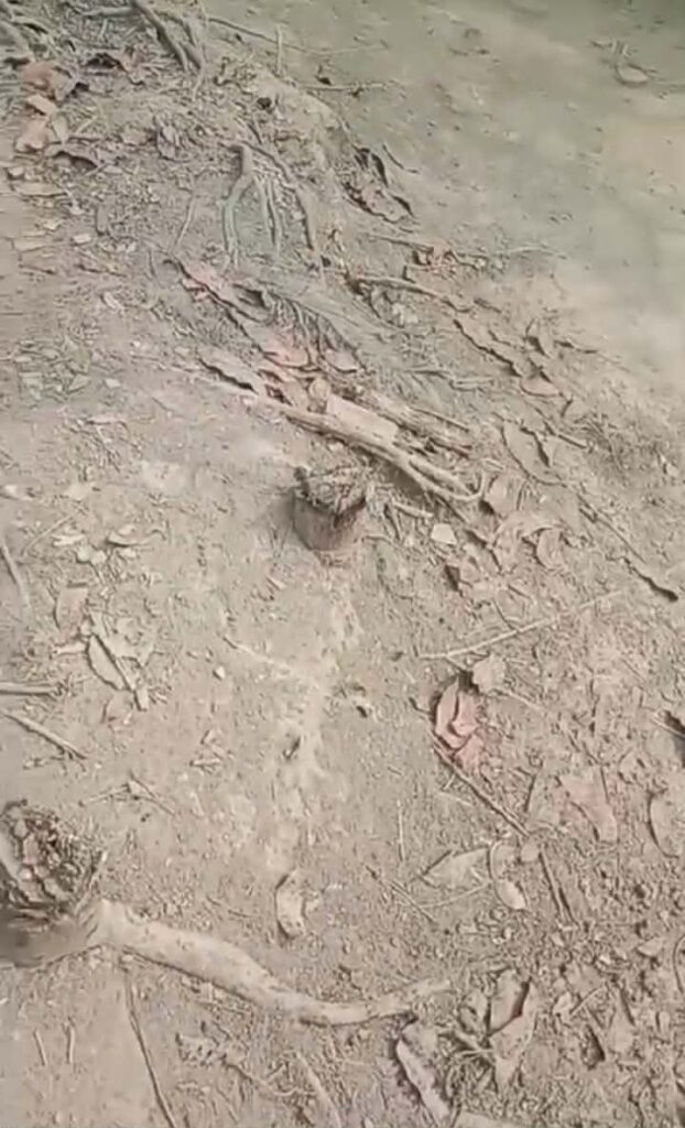 received 2011205453105211 || Dailydeshsomoy