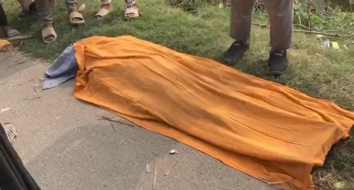 গোপালগঞ্জে নসিমন দুর্ঘটনা: চালক নিহত, আহত ২