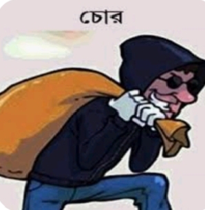 গফরগাঁওয়ে বিএনপি নেতার বাড়িতে দুর্ধর্ষ চুরি,