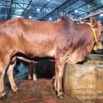 FB IMG 1775232885498 || Dailydeshsomoy