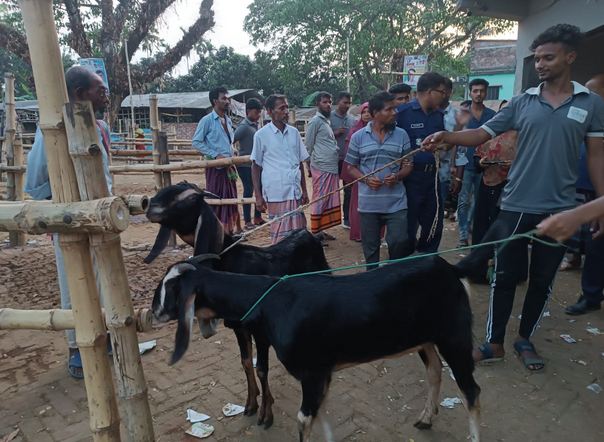 শার্শায় গরুর হাট থেকে চোর সহ দুটি ছাগল উদ্ধার।