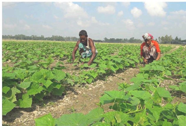 জীবিকার তাগিদে প্রতিদিনই লড়াই—নিঃশব্দ সংগ্রামে বেঁচে আছে সাধারণ মানুষ,