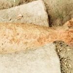 received 1330465342263058 || Dailydeshsomoy