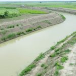 received 1495688135245906 || Dailydeshsomoy