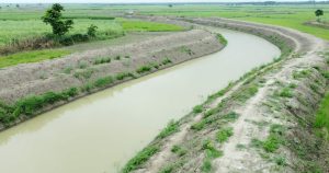 received 1495688135245906 || Dailydeshsomoy