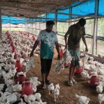 received 937151299193442 || Dailydeshsomoy