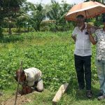 received 2006856539920810 || Dailydeshsomoy