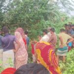 FB IMG 1780567747779 || Dailydeshsomoy