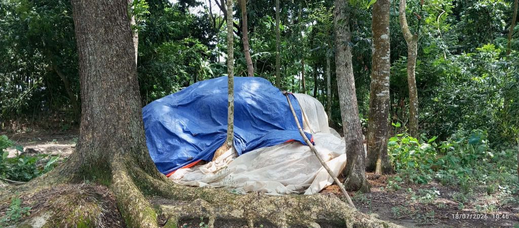 কুটার কুড়ে আগুন,বাপ-পুত্রের বিরুদ্ধে অভিযোগ। 1 received 1345651301051931 || Dailydeshsomoy