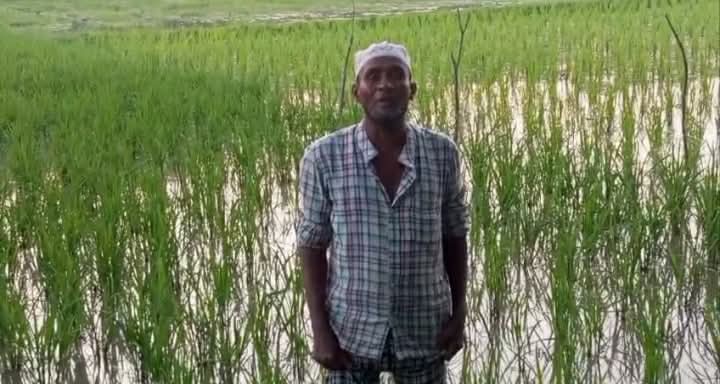received 1433819051942650 || Dailydeshsomoy