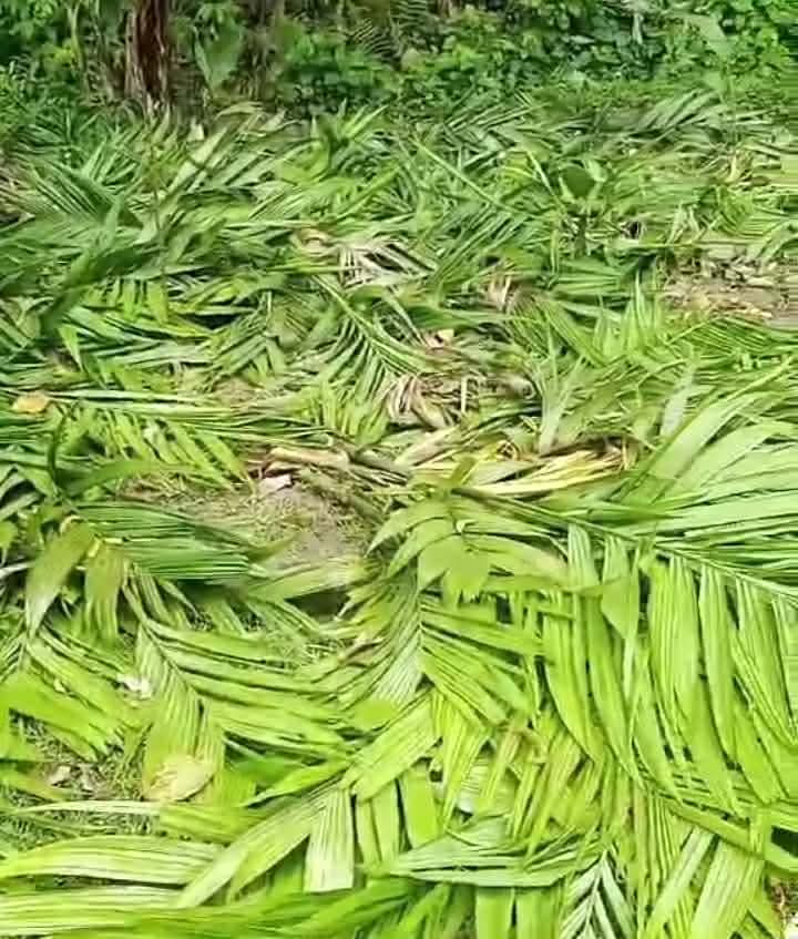 received 1710890153311761 || Dailydeshsomoy
