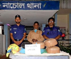 নাচোলে পুলিশের অভিযানে বিপুল পরিমাণ গাঁজাসহ গ্রেফতার ১, 2 received 3905484739589111 || Dailydeshsomoy