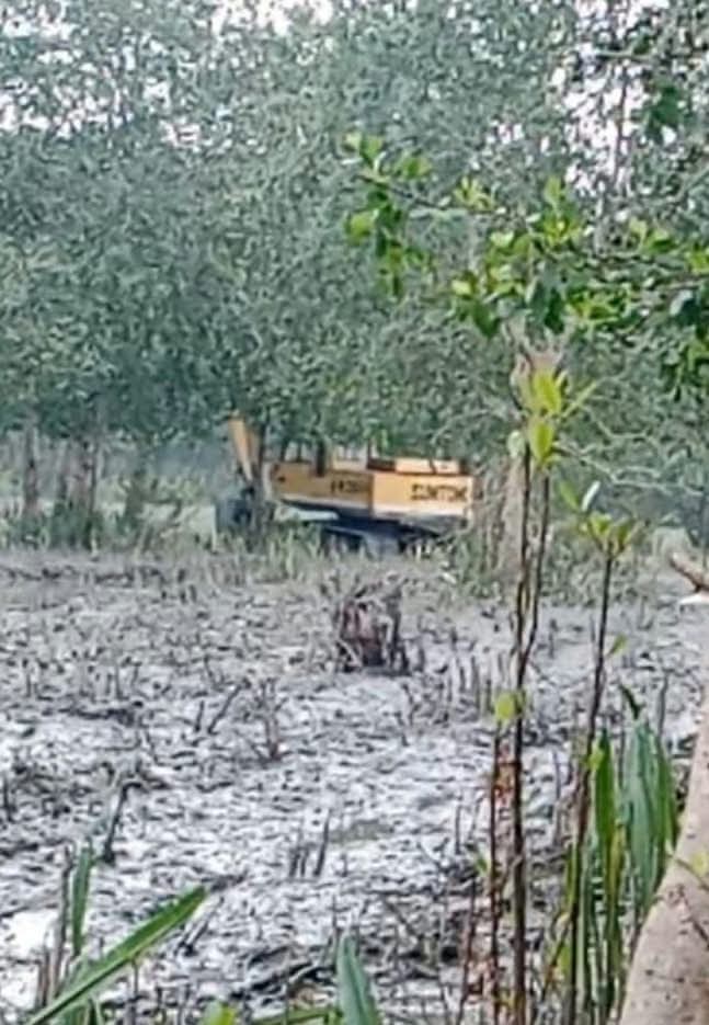 গলাচিপায় ম্যানগ্রোভ প্রকল্পের ৪ শতাধিক গাছ স্কেভেটর দিয়ে ধ্বংস করেছে দুর্বৃত্তরা : ৪ জনের বিরুদ্ধে সাধারণ ডায়েরী, 1 received 1593221612344225 || Dailydeshsomoy